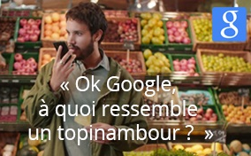 Ok Google Maintenant Ferme Ta Gueule